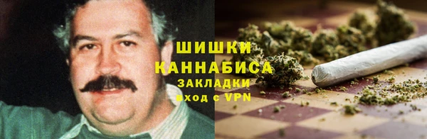 тгк Володарск
