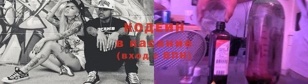 индика Волосово