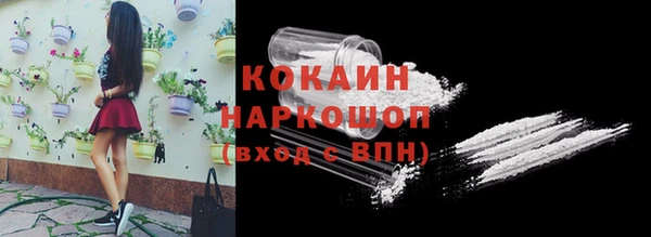 индика Волосово