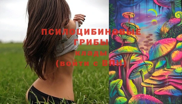 индика Волосово