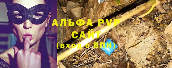 индика Волосово