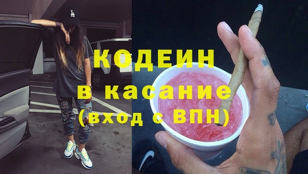 индика Волосово