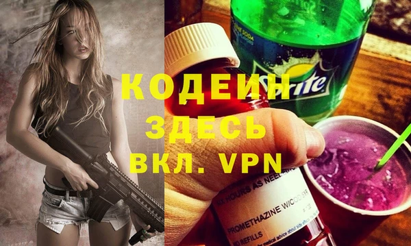 индика Волосово