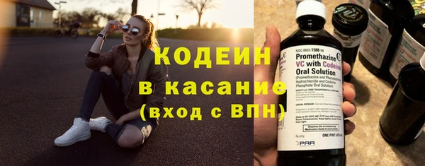 индика Волосово
