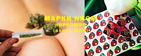 тгк Володарск