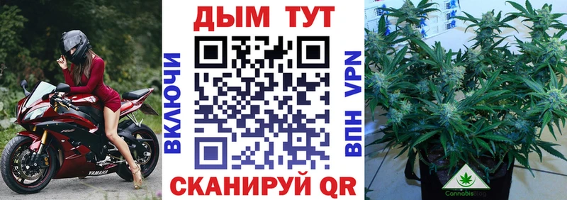 Канабис MAZAR Донецк